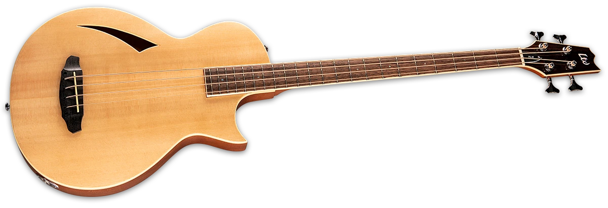 ESP / LTD - LTD TL-4/NAT