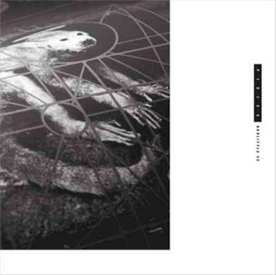 PIXIES - DOOLITTLE 25: B-SIDES PEEL SESSIONS & DEMOS