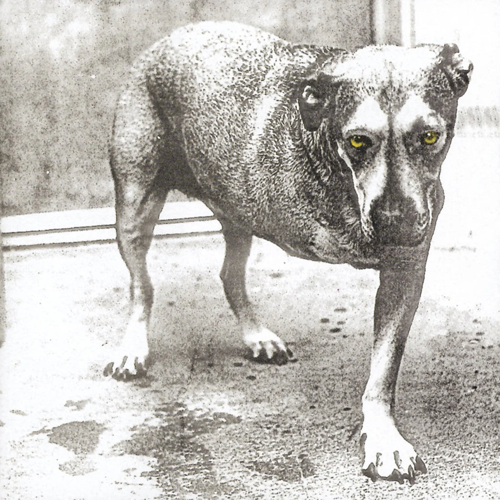 ALICE IN CHAINS - ALICE IN CHAINS (30TH ANNIVERSARY REISSUE) [COLOR VINYL] [2LP]