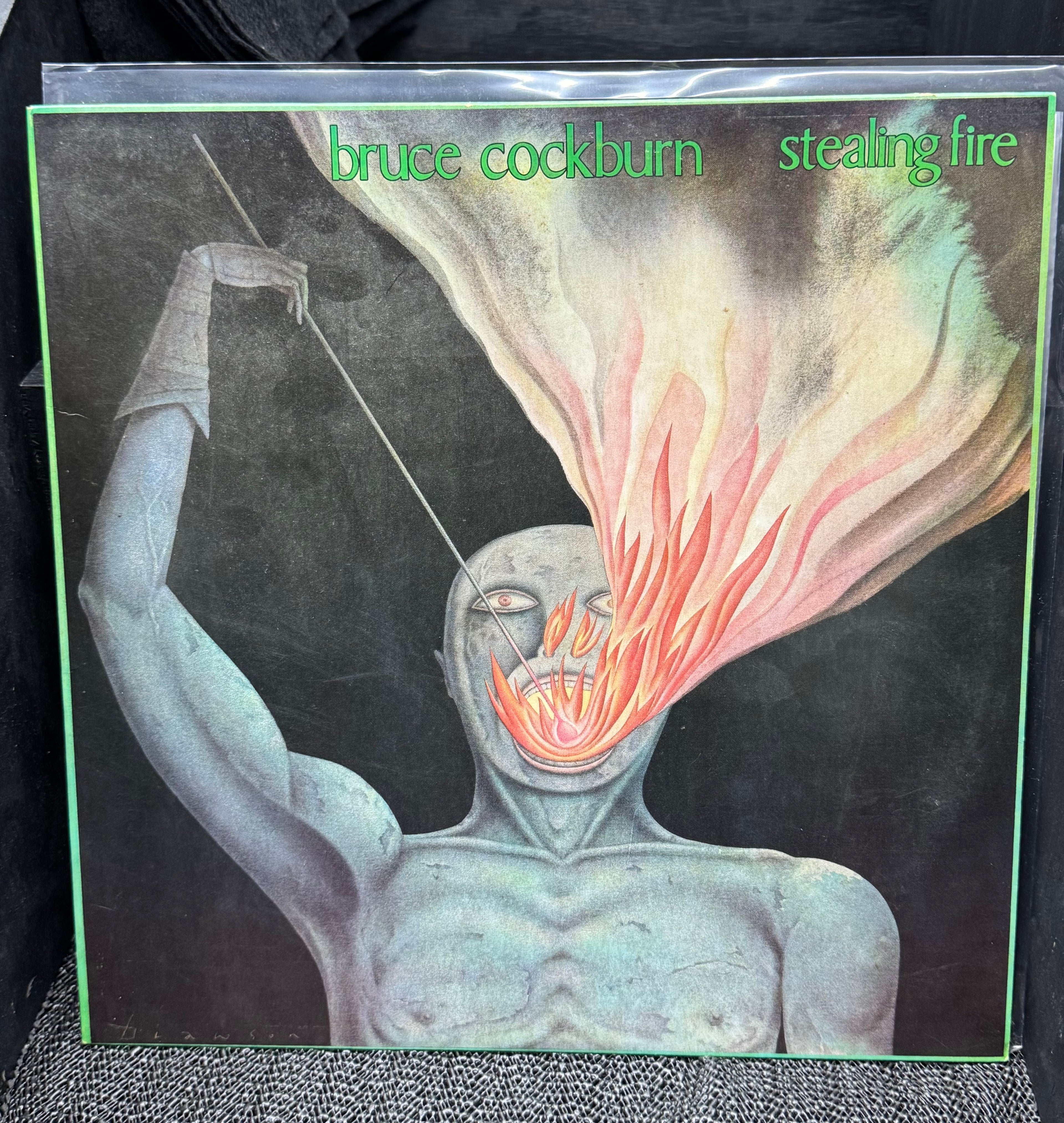 Bruce Cockburn - Stealing Fire