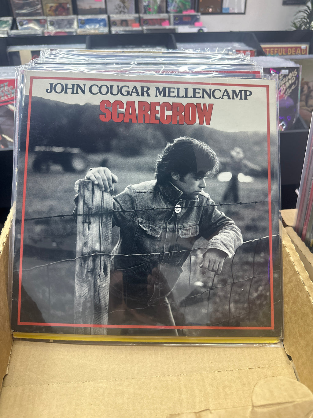 JOHN COUGAR MELLENCAMP - SCARECROW