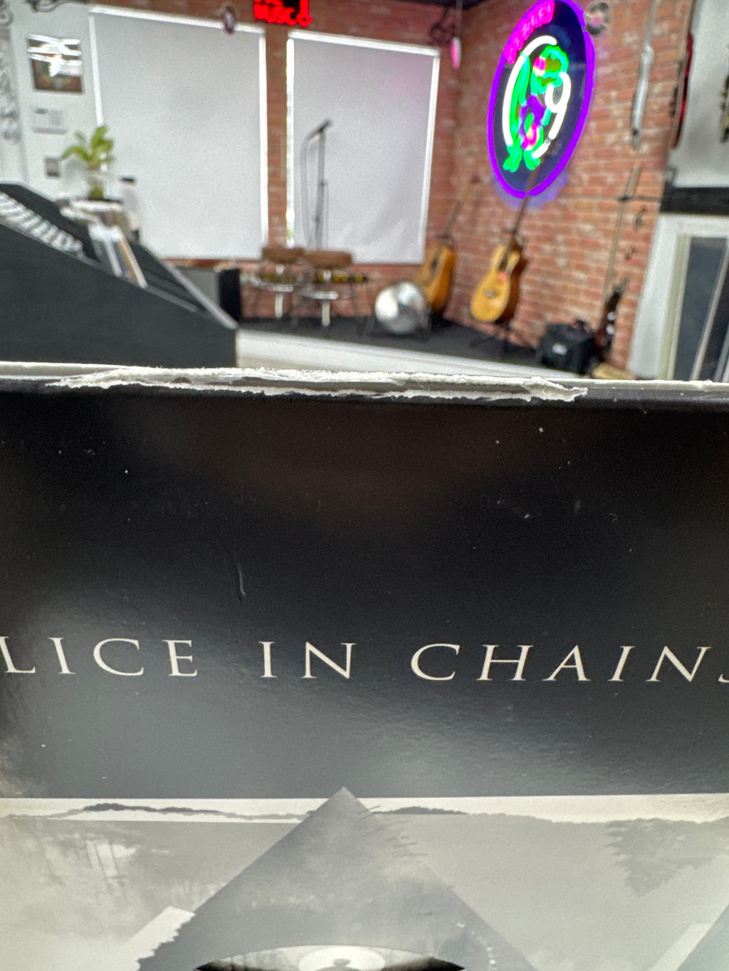 ALICE IN CHAINS - RAINIER FOG