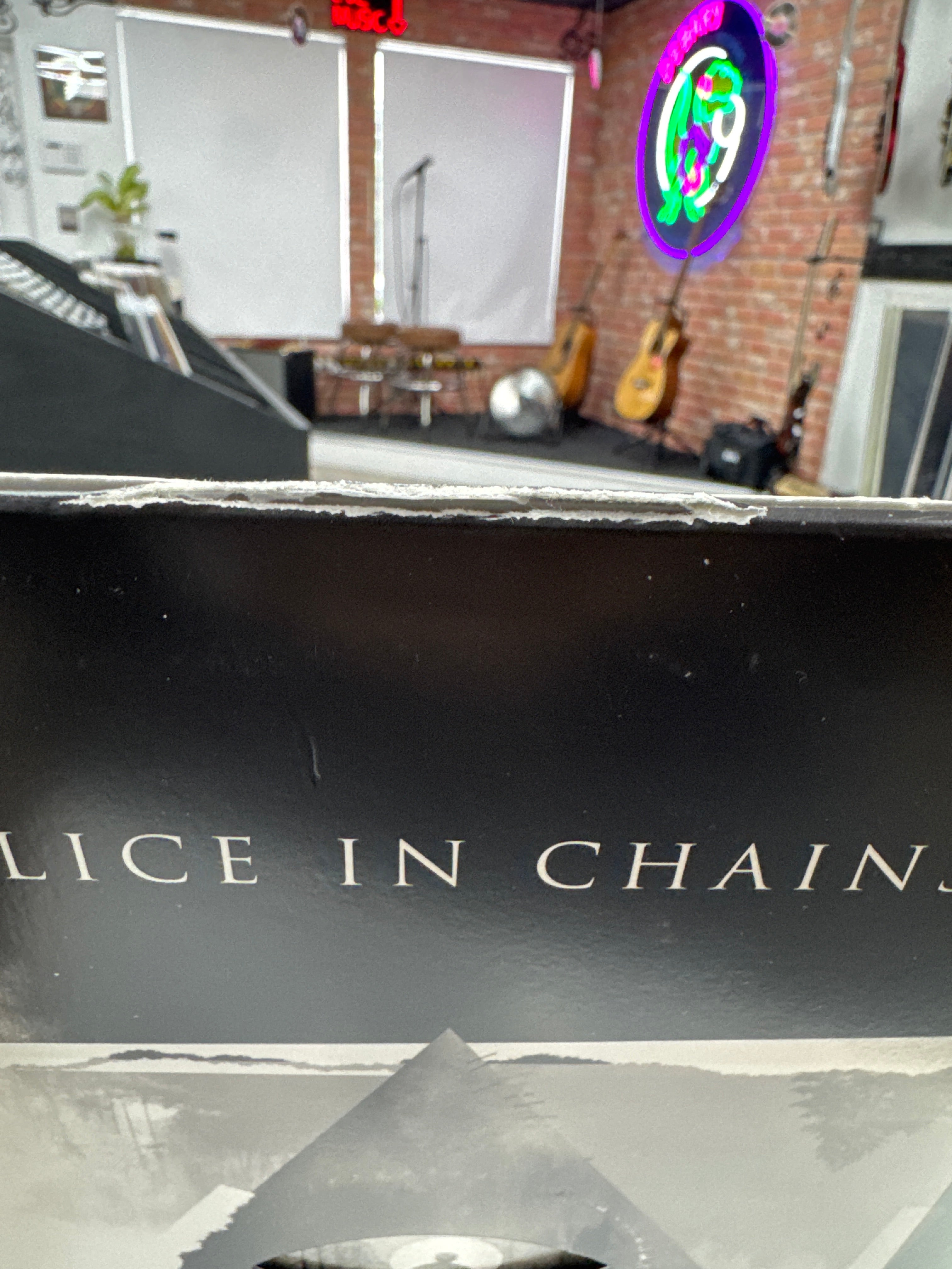 ALICE IN CHAINS - RAINIER FOG