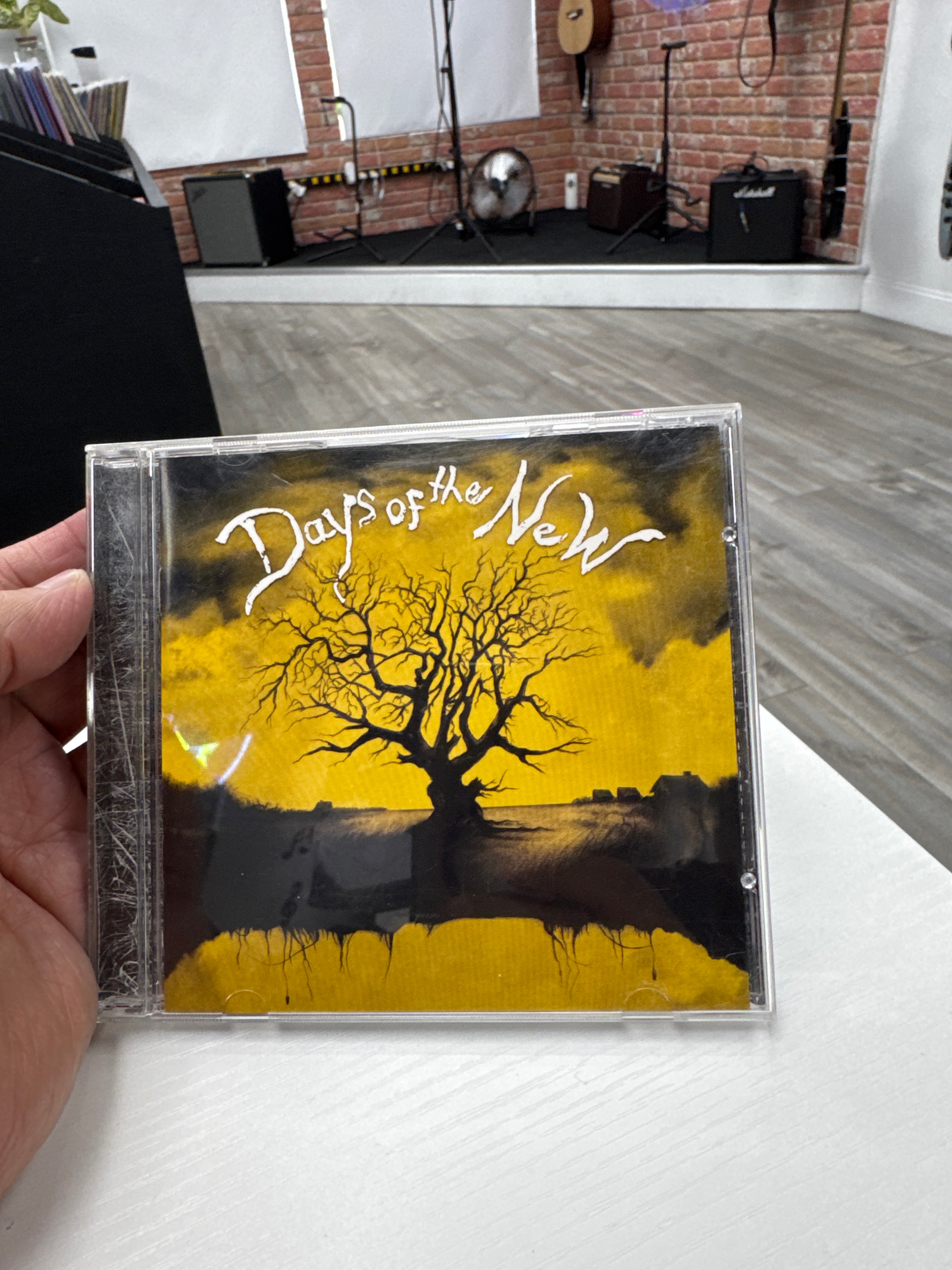 DAYS OF THE NEW - DAYS OF THE NEW