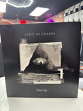 ALICE IN CHAINS - RAINIER FOG