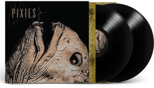 ★メディシン Shot Forth Self Living 2LP CT-148 ☆メディシン Shot Forth Self Living 2LP CT-148 ☆メディシン Shot