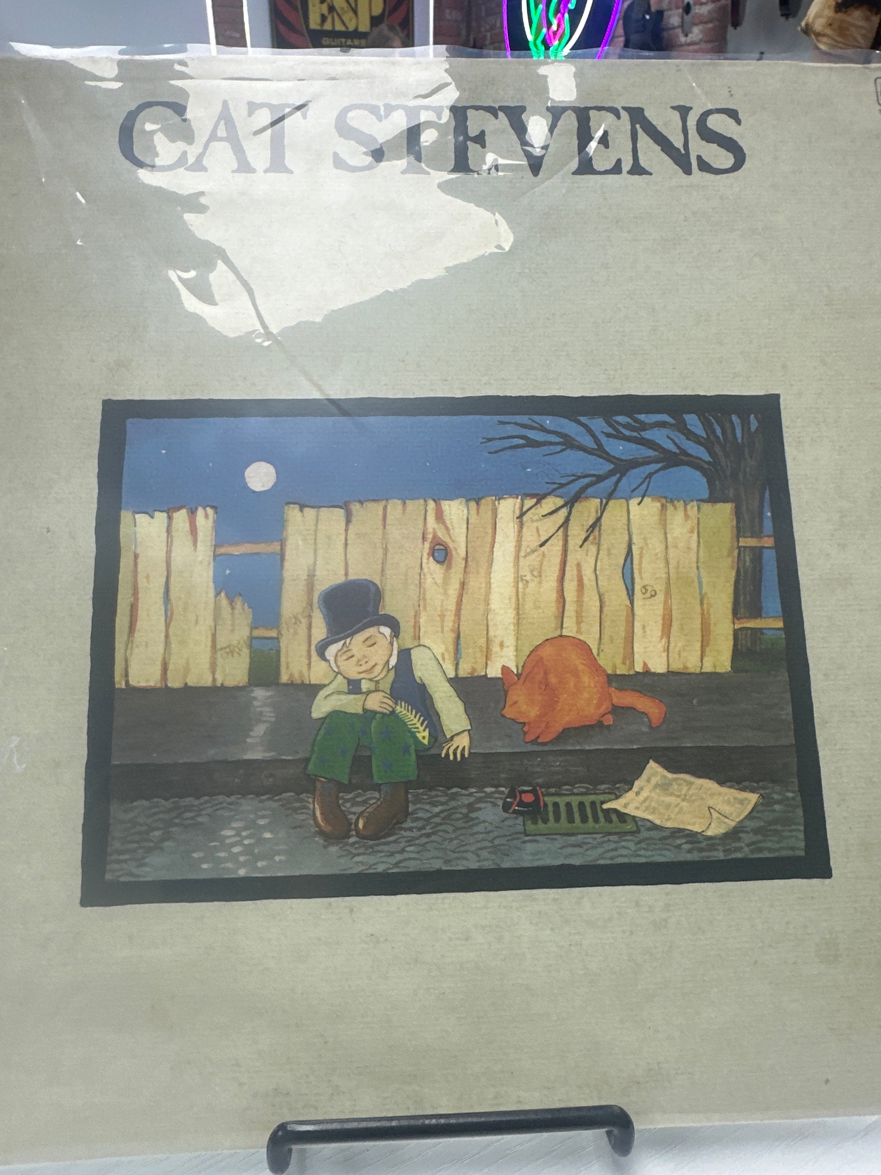 CAT STEVENS - TEASER AND THE FIRECAT
