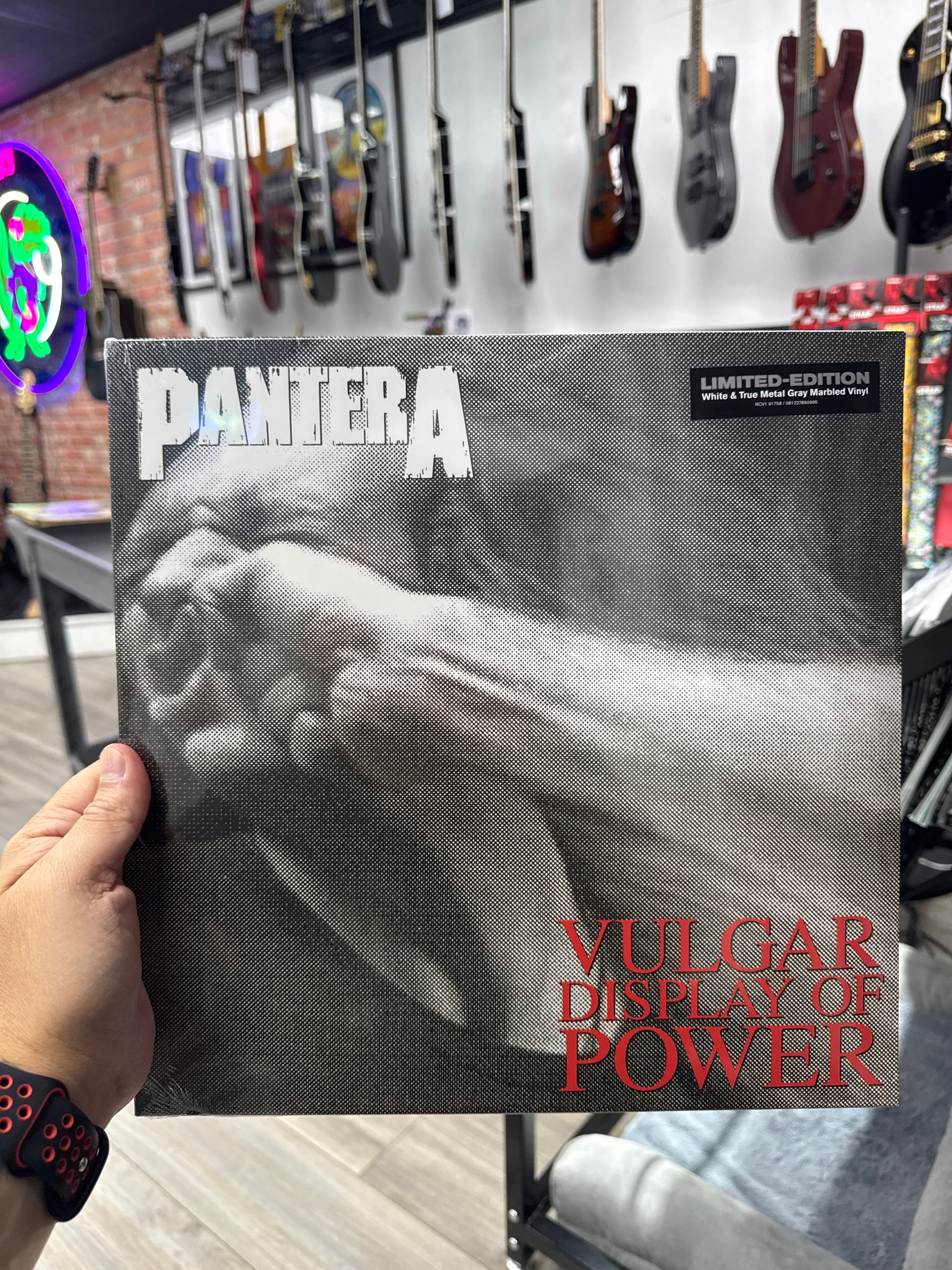 PANTERA - VULGAR DISPLAY OF POWER