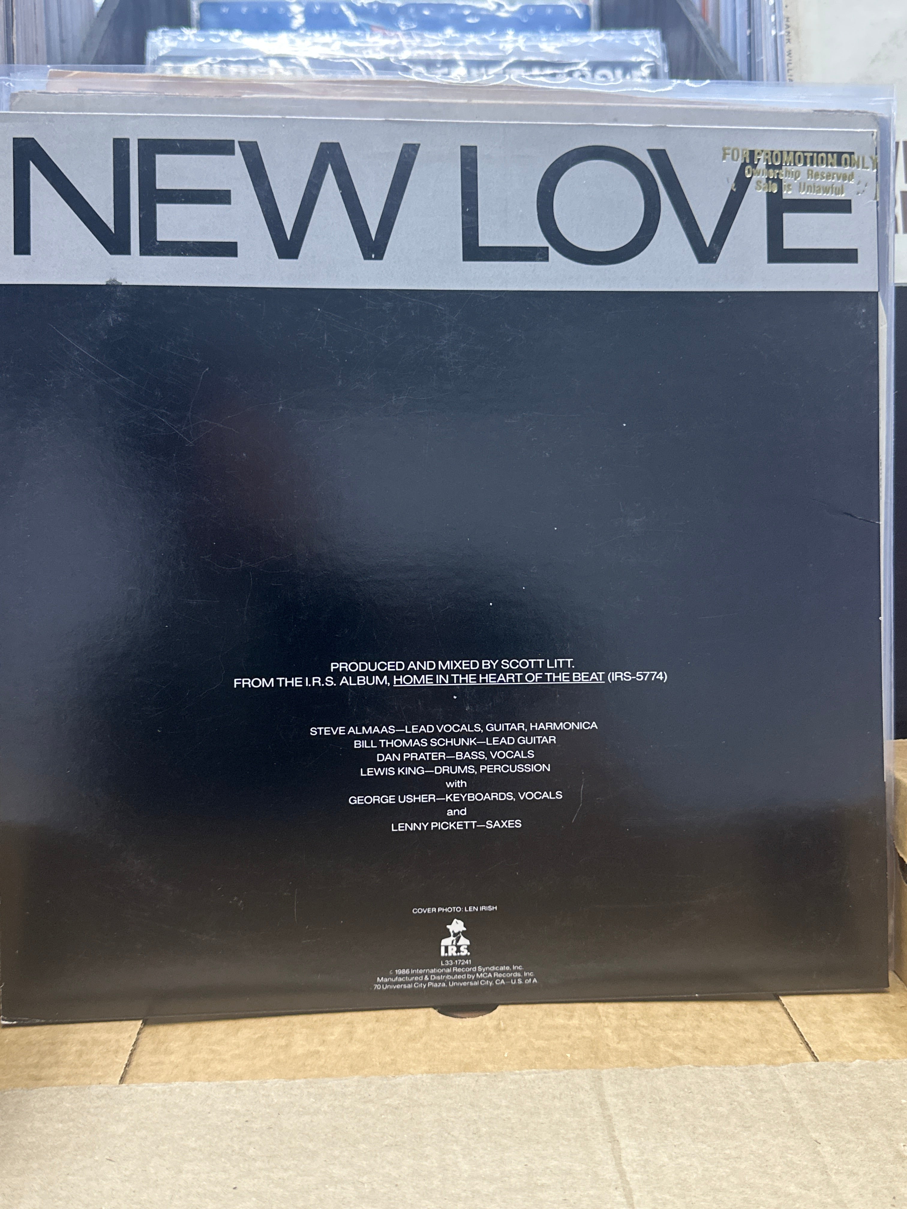 BEAT RODEO - NEW LOVE