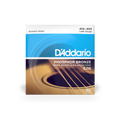 12-53 Light, Phosphor Bronze Acoustic Guitar Strings - EJ16