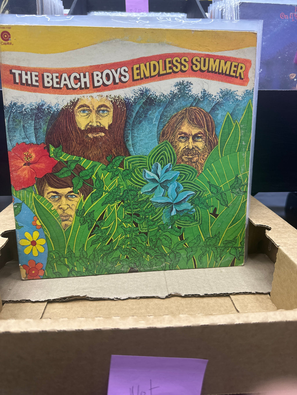 THE BEACH BOYS - ENDLESS SUMMER