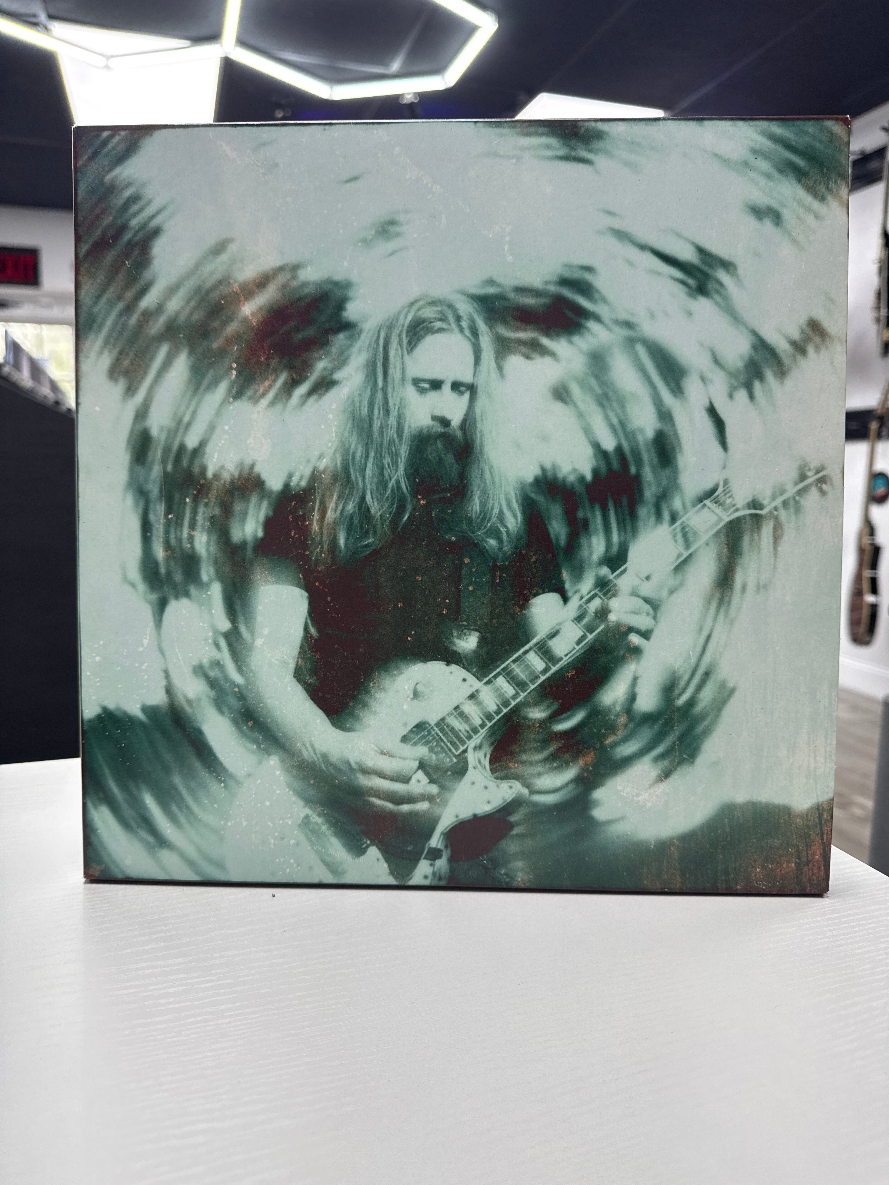 JERRY CANTRELL - DEGRADATION TRIP VOLUMES 1 & 2